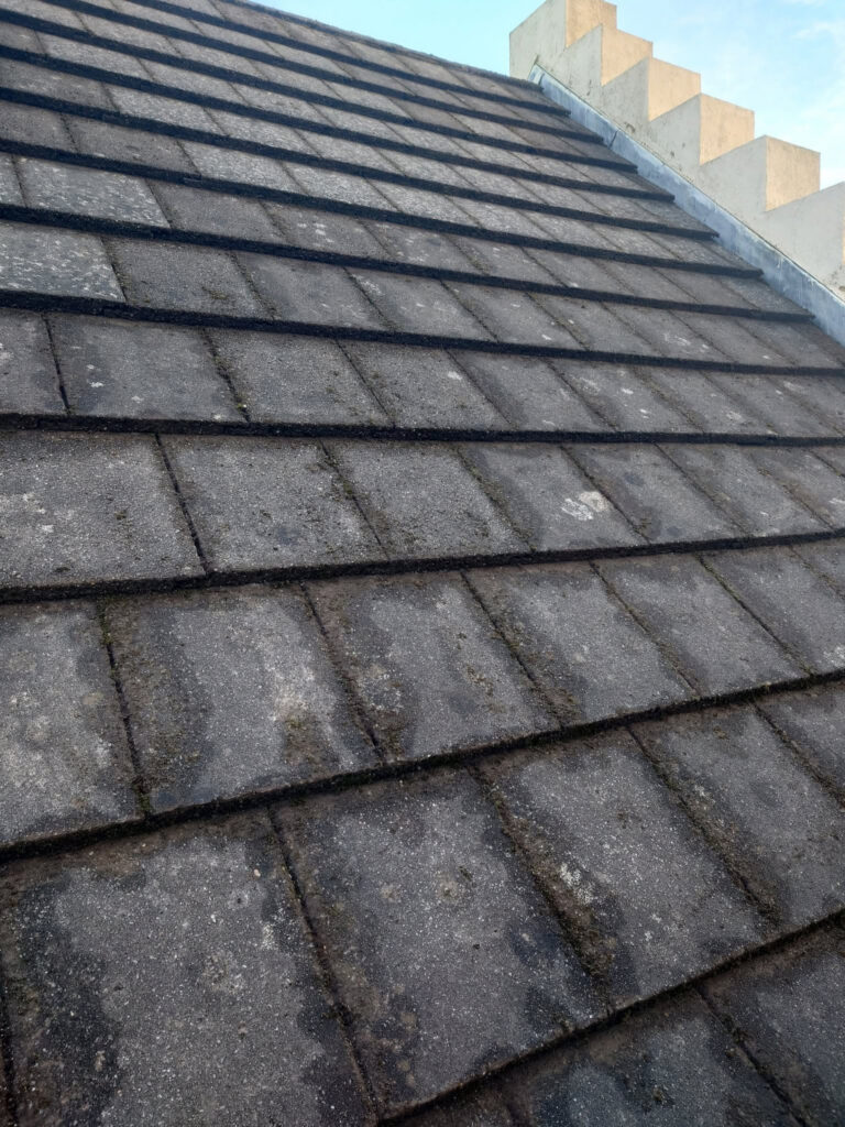Roof cleaning — after