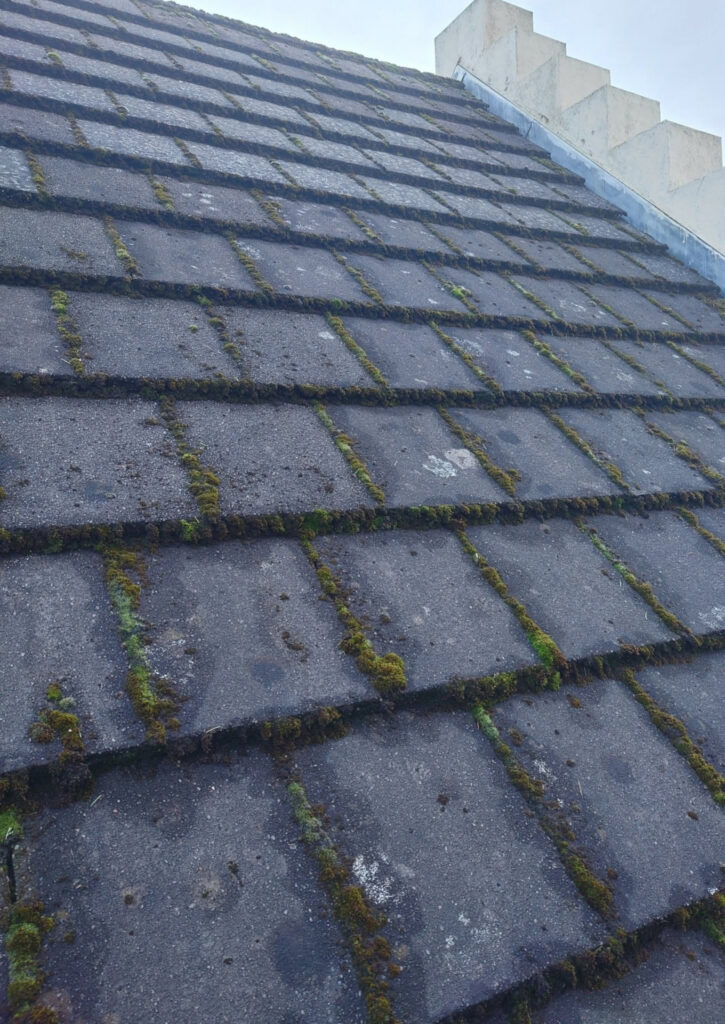 Roof cleaning — before