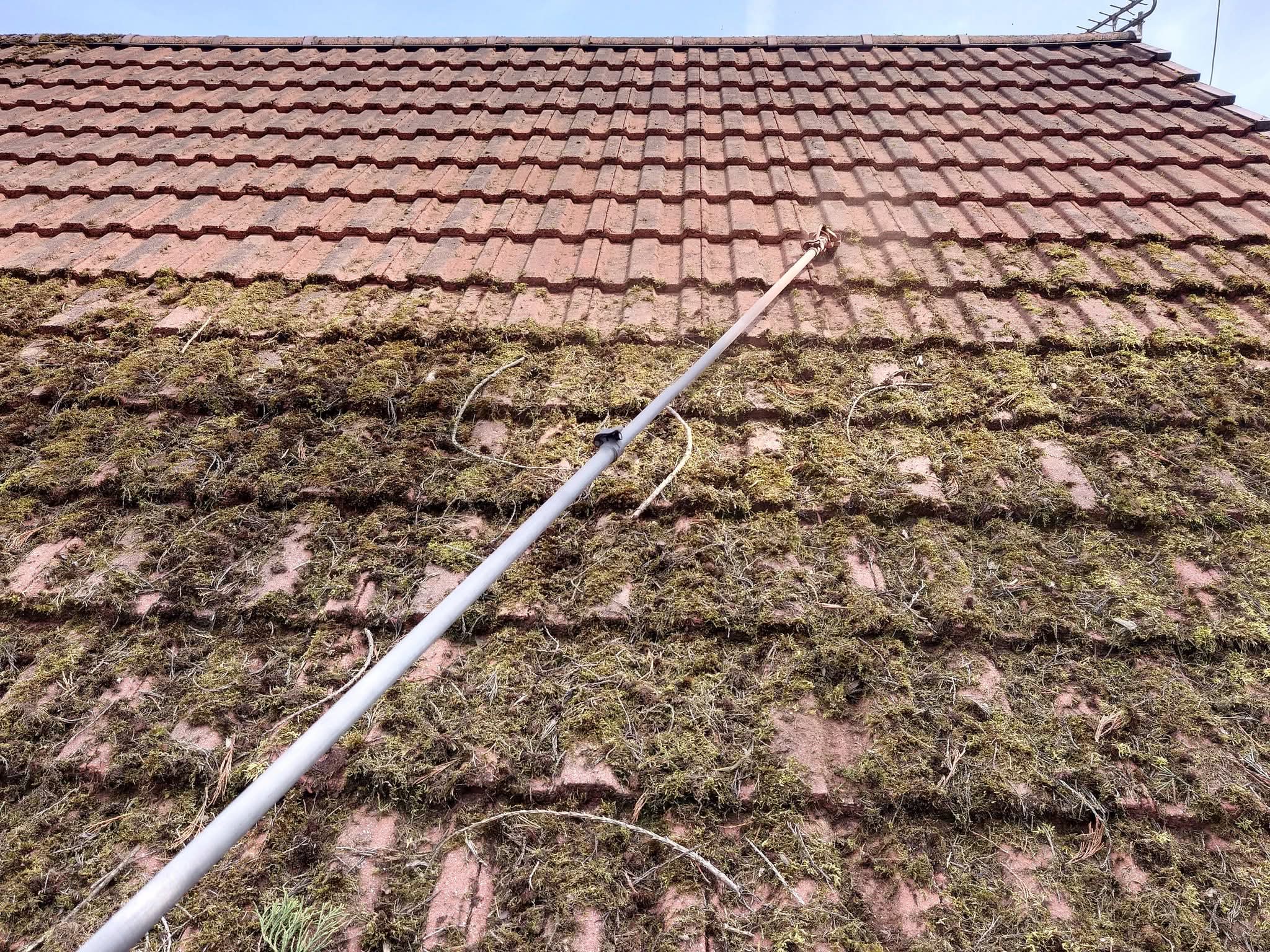 Roof cleaning